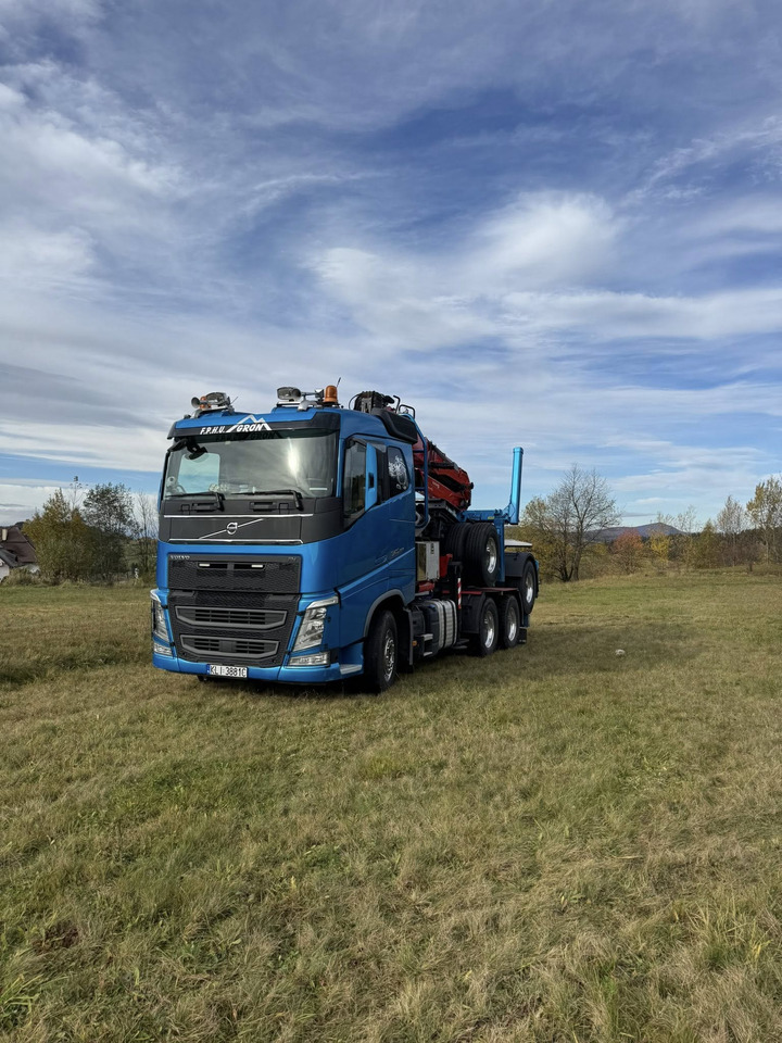 Camion trasporto legname, Camion con gru VOLVO FH540: foto 10