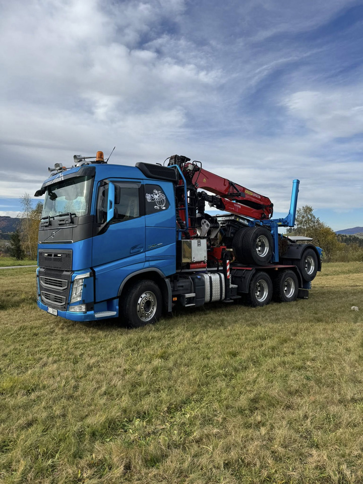 Camion trasporto legname, Camion con gru VOLVO FH540: foto 11