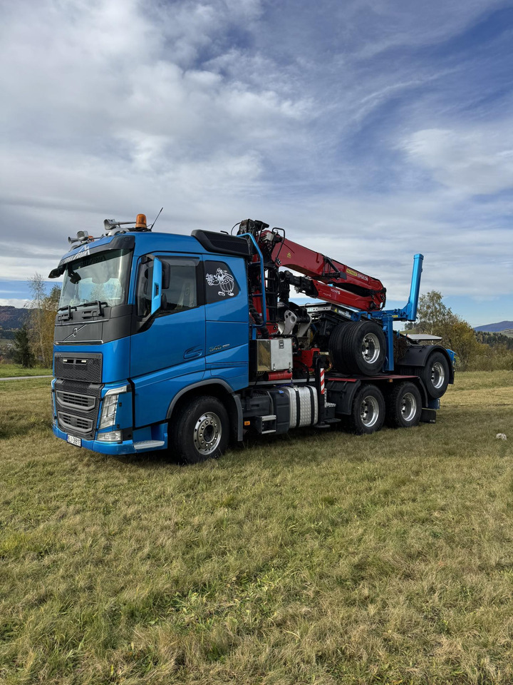 Camion trasporto legname, Camion con gru VOLVO FH540: foto 7