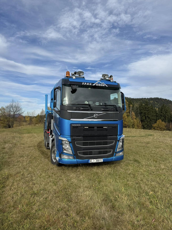 Camion trasporto legname, Camion con gru VOLVO FH540: foto 20