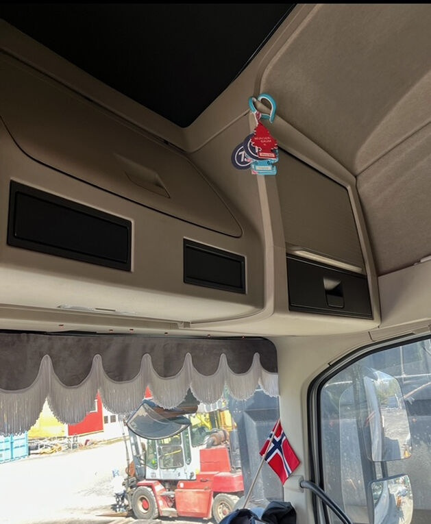 Autocarro con pianale/ Cassone fisso, Camion con gru Volvo FH 16.540: foto 10