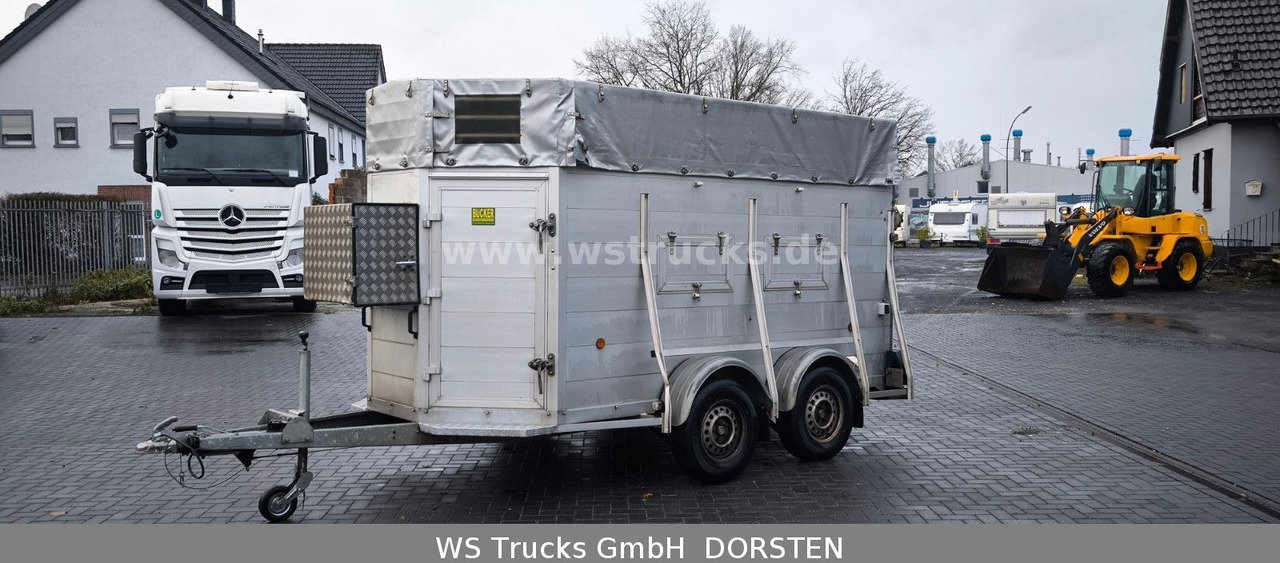 Blomert V30 Großvieh Vollalu Seilwinde Viehanhänger - Rimorchio trasporto bestiame: foto 2 Blomert V30 Großvieh Vollalu Seilwinde Viehanhänger - Rimorchio trasporto bestiame: foto 2