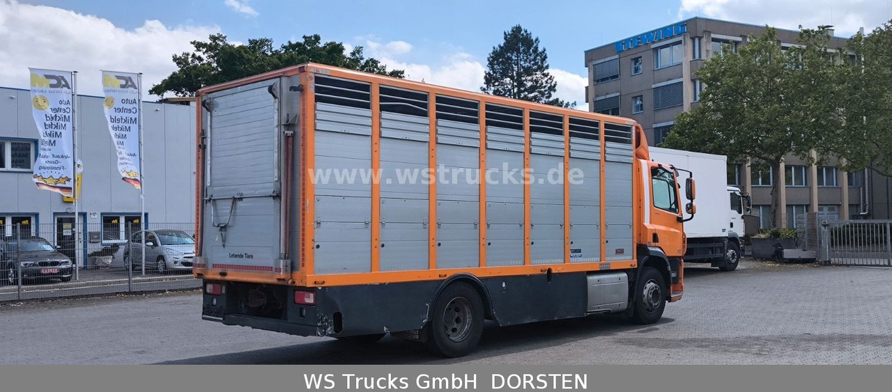 DAF CF 400 Menke Einstock - Van trasporto cavalli: foto 5 DAF CF 400 Menke Einstock - Van trasporto cavalli: foto 5