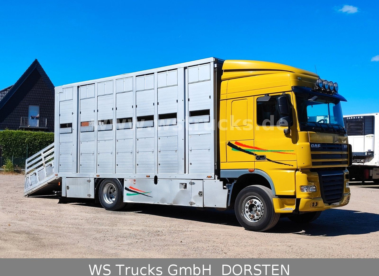 DAF XF 410 SC Menke Doppelstock - Van trasporto cavalli: foto 5 DAF XF 410 SC Menke Doppelstock - Van trasporto cavalli: foto 5