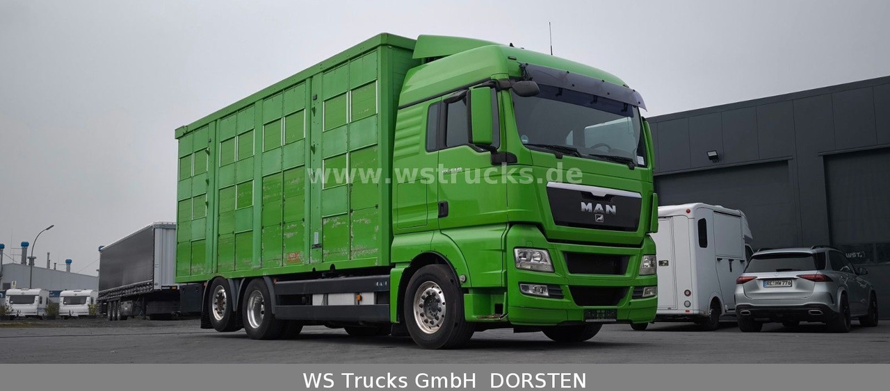 MAN TGX 26.480 XL KABA 3 Stock Vollalu - Van trasporto cavalli: foto 4 MAN TGX 26.480 XL KABA 3 Stock Vollalu - Van trasporto cavalli: foto 4