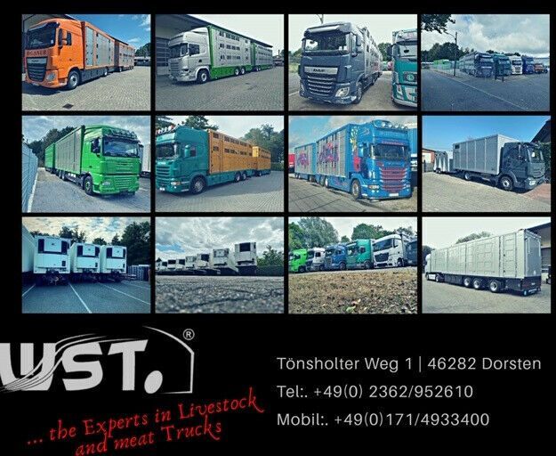 Menke-Janzen Menke 3 Stock Ausahrbares Dach Vollalu Typ 2 - Rimorchio trasporto bestiame: foto 4 Menke-Janzen Menke 3 Stock Ausahrbares Dach Vollalu Typ 2 - Rimorchio trasporto bestiame: foto 4