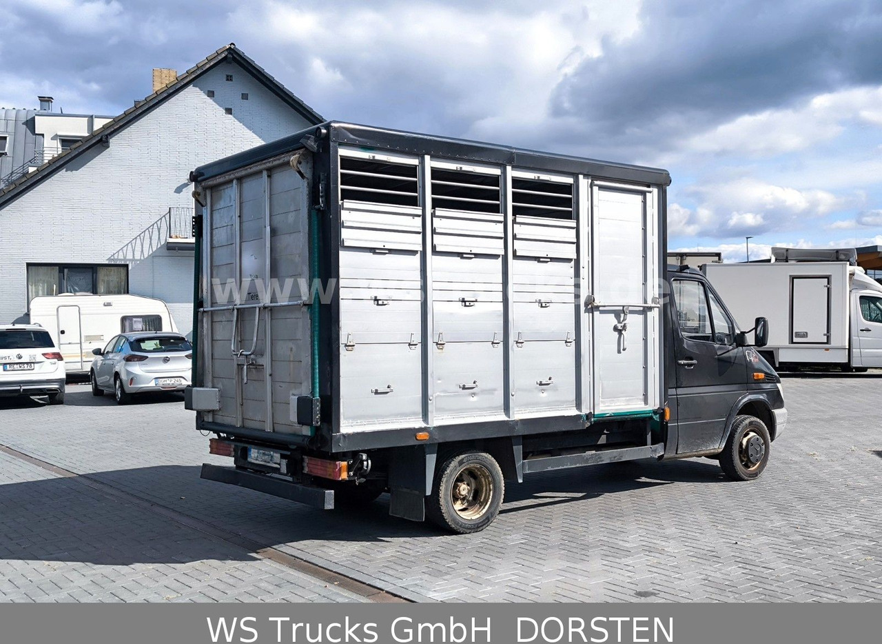 Mercedes-Benz Sprinter 411 CDI Viehtransporter - Autocarro trasporto bestiame: foto 3 Mercedes-Benz Sprinter 411 CDI Viehtransporter - Autocarro trasporto bestiame: foto 3