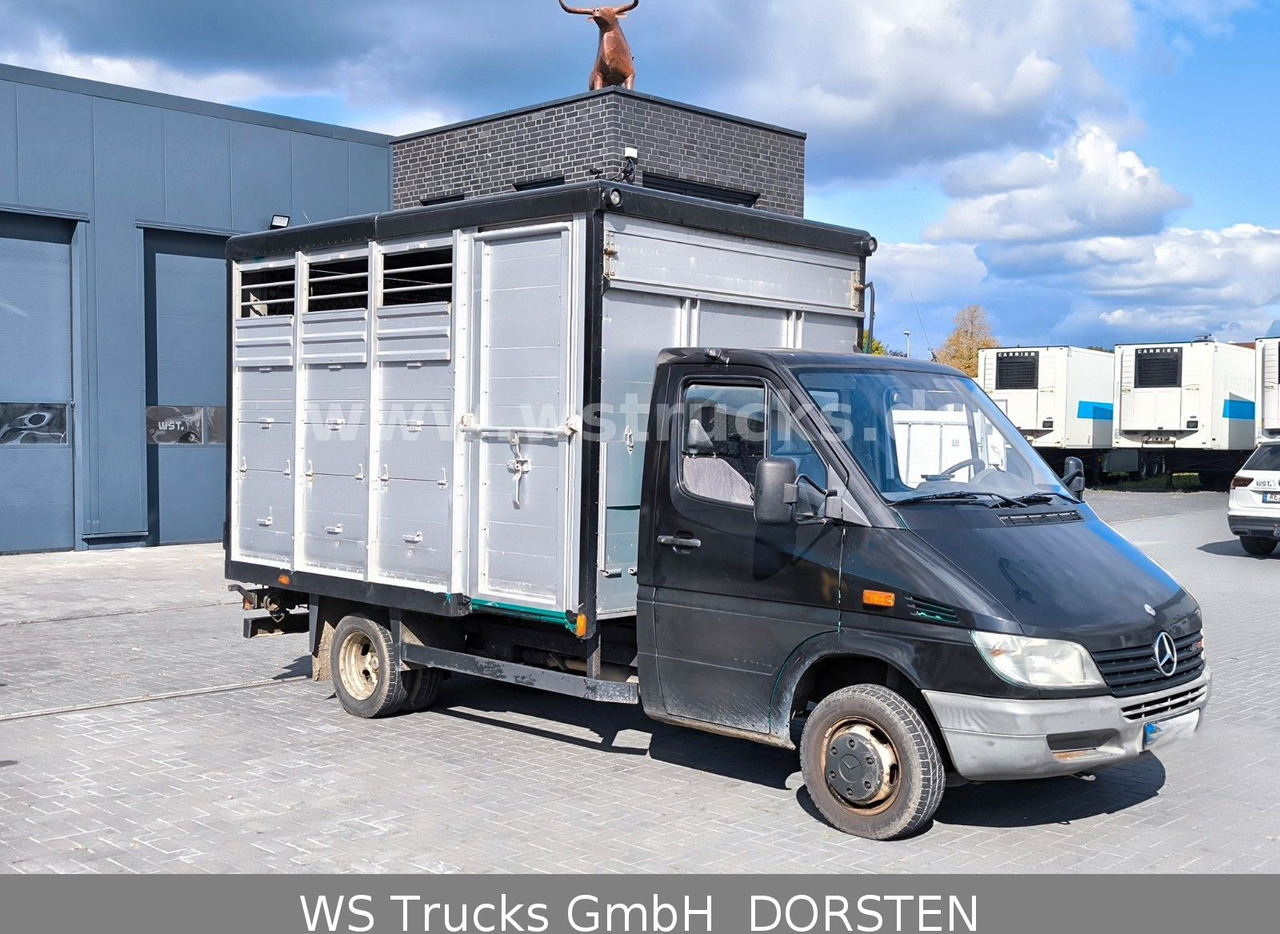 Mercedes-Benz Sprinter 411 CDI Viehtransporter - Autocarro trasporto bestiame: foto 2 Mercedes-Benz Sprinter 411 CDI Viehtransporter - Autocarro trasporto bestiame: foto 2