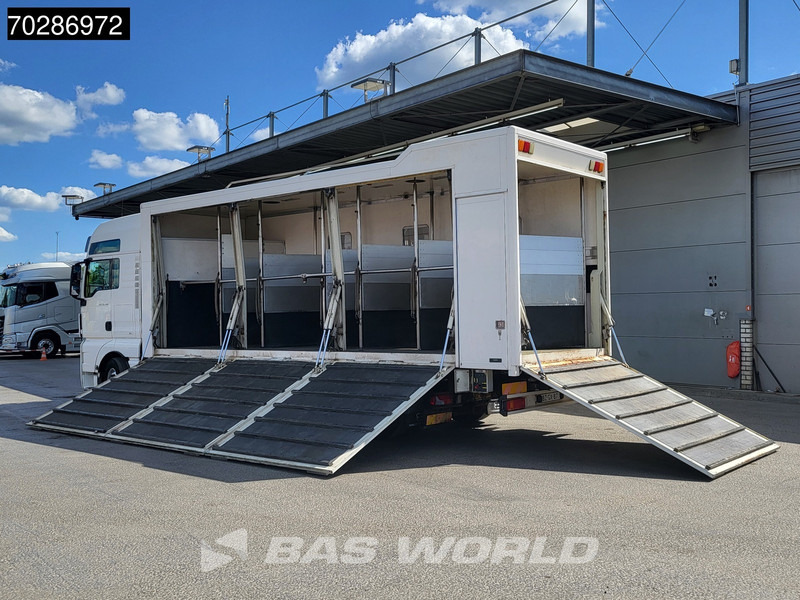 MAN TGX 26.480 TGX 6X2 NL-Truck BDF HorseTransport Lift+steering axle Standklima Automatic Xenon Alcoa´s Euro 5 - Autocarro portacontainer/ Caisse interchangeable: foto 2 MAN TGX 26.480 TGX 6X2 NL-Truck BDF HorseTransport Lift+steering axle Standklima Automatic Xenon Alcoa´s Euro 5 - Autocarro portacontainer/ Caisse interchangeable: foto 2