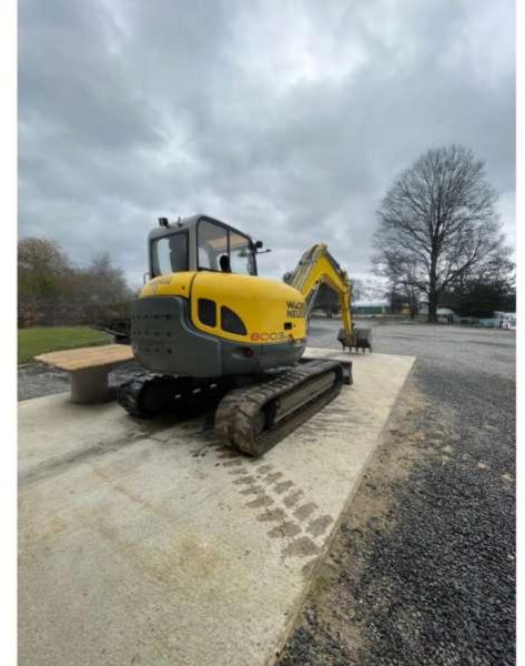 Wacker Neuson 8003 - Escavatore cingolato: foto 1 Wacker Neuson 8003 - Escavatore cingolato: foto 1