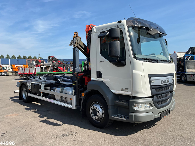 DAF FA LF 250 Euro 6 Palfinger 6,5 Tonmeter laadkraan - Autocarro scarrabile, Camion con gru: foto 3 DAF FA LF 250 Euro 6 Palfinger 6,5 Tonmeter laadkraan - Autocarro scarrabile, Camion con gru: foto 3