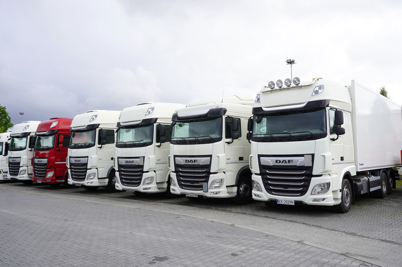 DAF XF 480 E6 6×2 / Refrigerator 18 pallets / 6 units - Autocarro frigorifero: foto 2 DAF XF 480 E6 6×2 / Refrigerator 18 pallets / 6 units - Autocarro frigorifero: foto 2