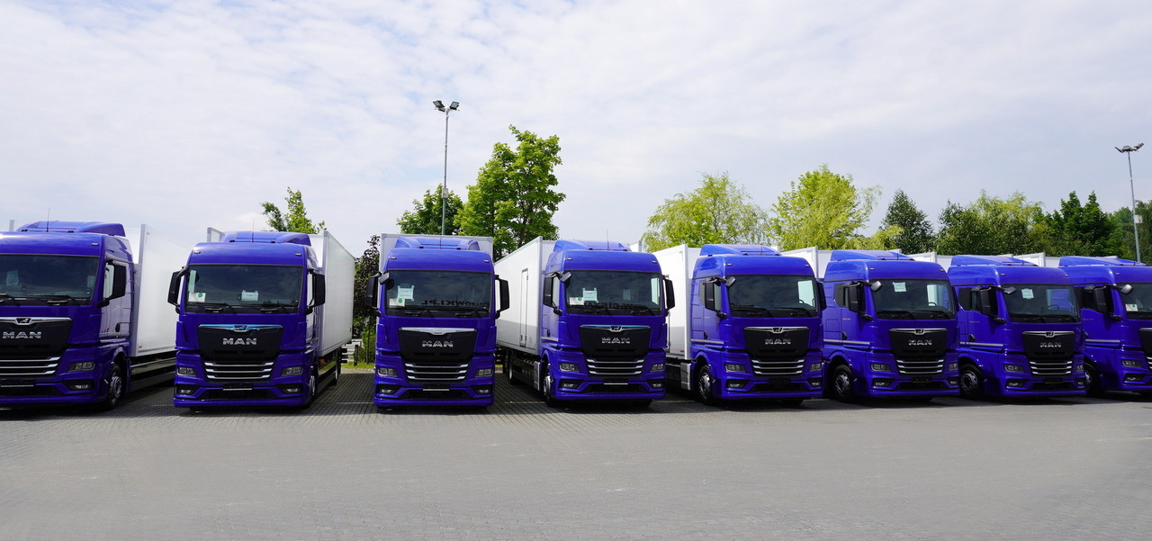 MAN New TGX 26.400 / NEW IGLOOCAR refrigerator 20 pallets / 6×2 / 2024 / 2 units - Autocarro cella isotermica: foto 3 MAN New TGX 26.400 / NEW IGLOOCAR refrigerator 20 pallets / 6×2 / 2024 / 2 units - Autocarro cella isotermica: foto 3