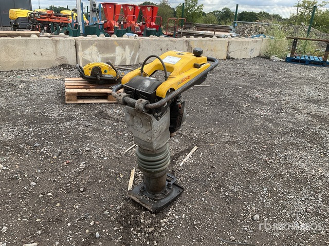 2021 Wacker Neuson BS60-2 Jumping Jack Tamper - Costipatore: foto 2 2021 Wacker Neuson BS60-2 Jumping Jack Tamper - Costipatore: foto 2