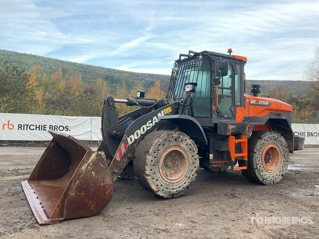 2022 Doosan DL250-7 Wheel Loader - Pala gommata: foto 1 2022 Doosan DL250-7 Wheel Loader - Pala gommata: foto 1