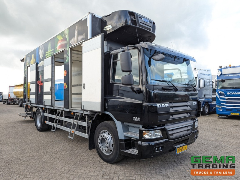 DAF FA CF65.250 4x2 Daycab Euro5 KoelVriesBak 6.7M + Carrier Supra750Mt + Laadklep2000kg - 07/2025 APK (V827) - Autocarro frigorifero: foto 3 DAF FA CF65.250 4x2 Daycab Euro5 KoelVriesBak 6.7M + Carrier Supra750Mt + Laadklep2000kg - 07/2025 APK (V827) - Autocarro frigorifero: foto 3
