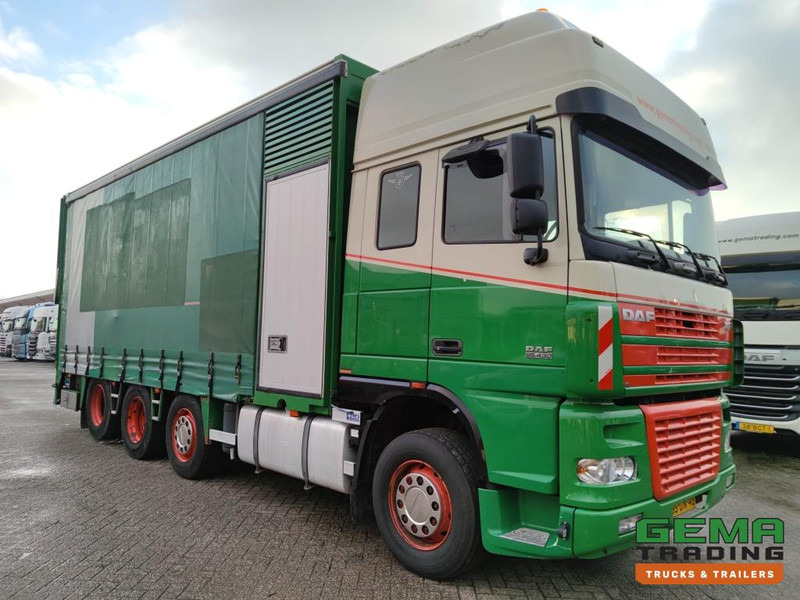 DAF FAK XF95.430 8x2 SuperSpaceCab Euro3 - CurtainSider 7.31m + Ramp 16T - MachineTransporter - 6 Persons (V558) - Camion bisarca: foto 3 DAF FAK XF95.430 8x2 SuperSpaceCab Euro3 - CurtainSider 7.31m + Ramp 16T - MachineTransporter - 6 Persons (V558) - Camion bisarca: foto 3