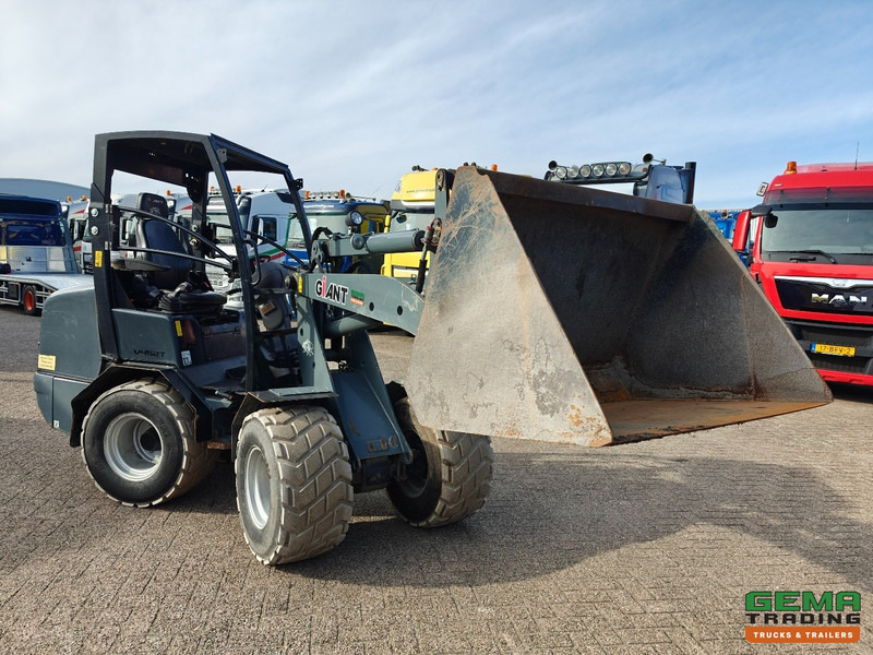 Giant V452T 3585 uren - Wiellader - Landbouw Kenteken - Vangmuil - Grondbak - Non-Marking Banden - Minipala cingolata: foto 2 Giant V452T 3585 uren - Wiellader - Landbouw Kenteken - Vangmuil - Grondbak - Non-Marking Banden - Minipala cingolata: foto 2