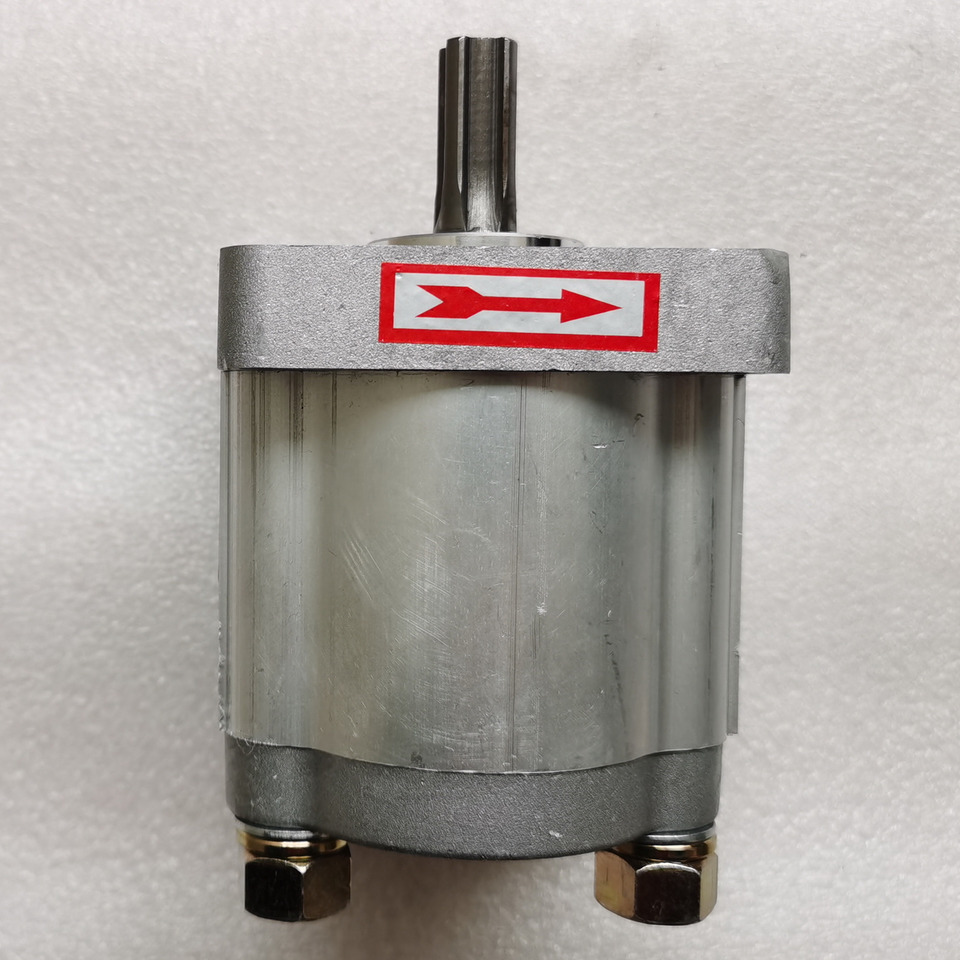 Qingdao Promising Hydraulic Pump CBN-E310BFHL for Chinese Wheel Loader - Pompa idraulica per Pala gommata: foto 2 Qingdao Promising Hydraulic Pump CBN-E310BFHL for Chinese Wheel Loader - Pompa idraulica per Pala gommata: foto 2