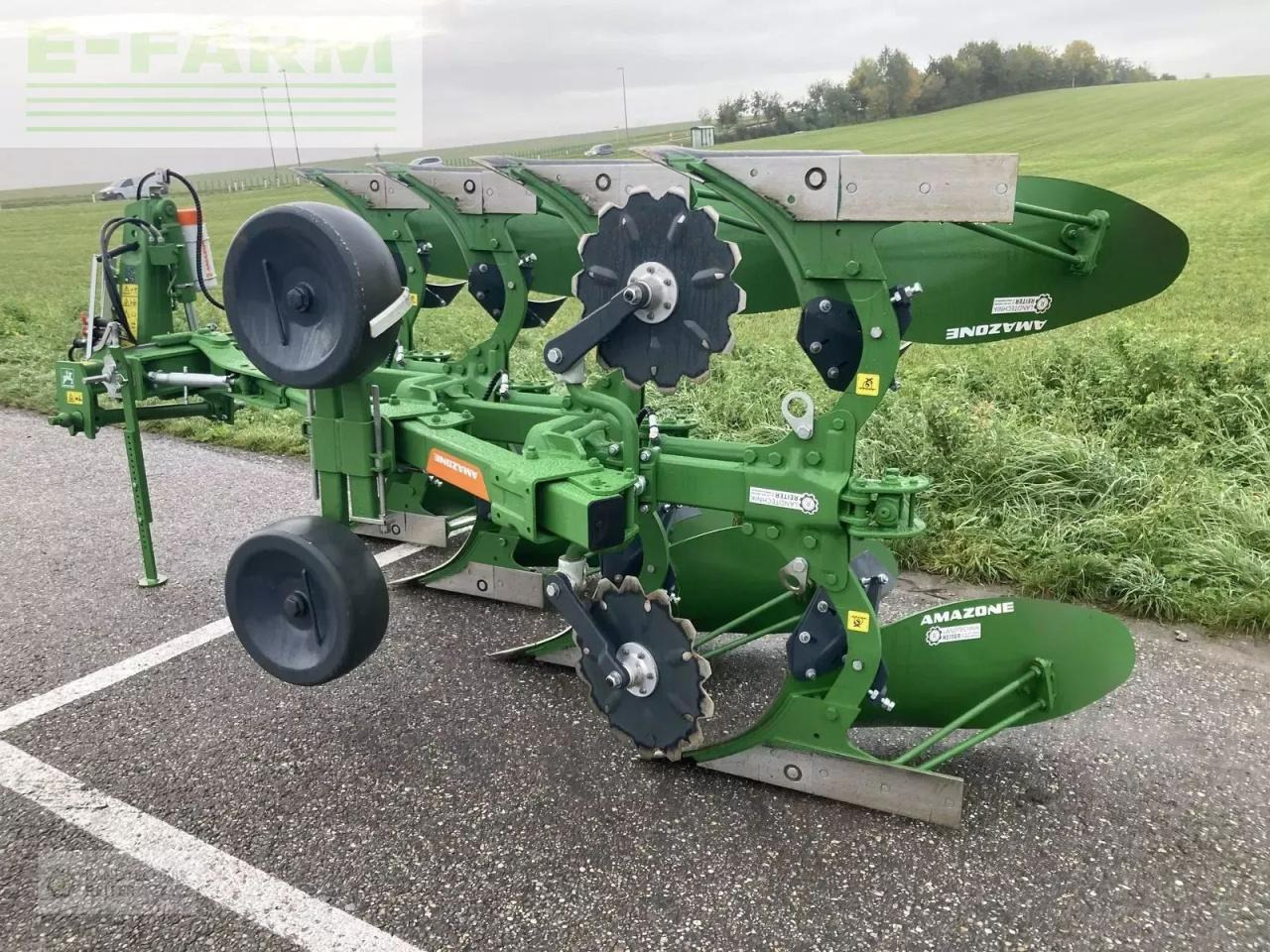 Amazone cayros m - Aratro: foto 4 Amazone cayros m - Aratro: foto 4