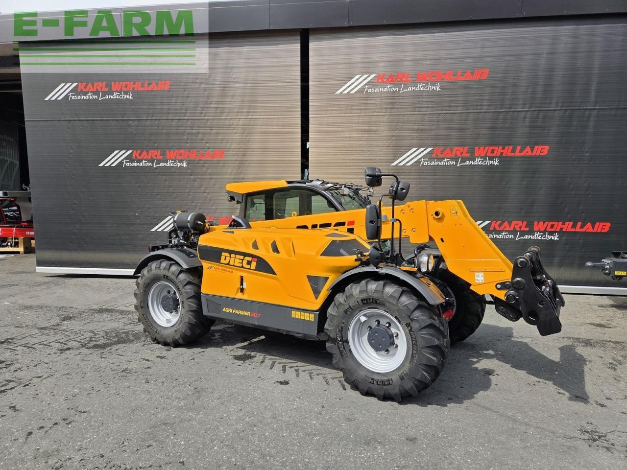 Sollevatore telescopico Dieci agri farmer 30.7: foto 6