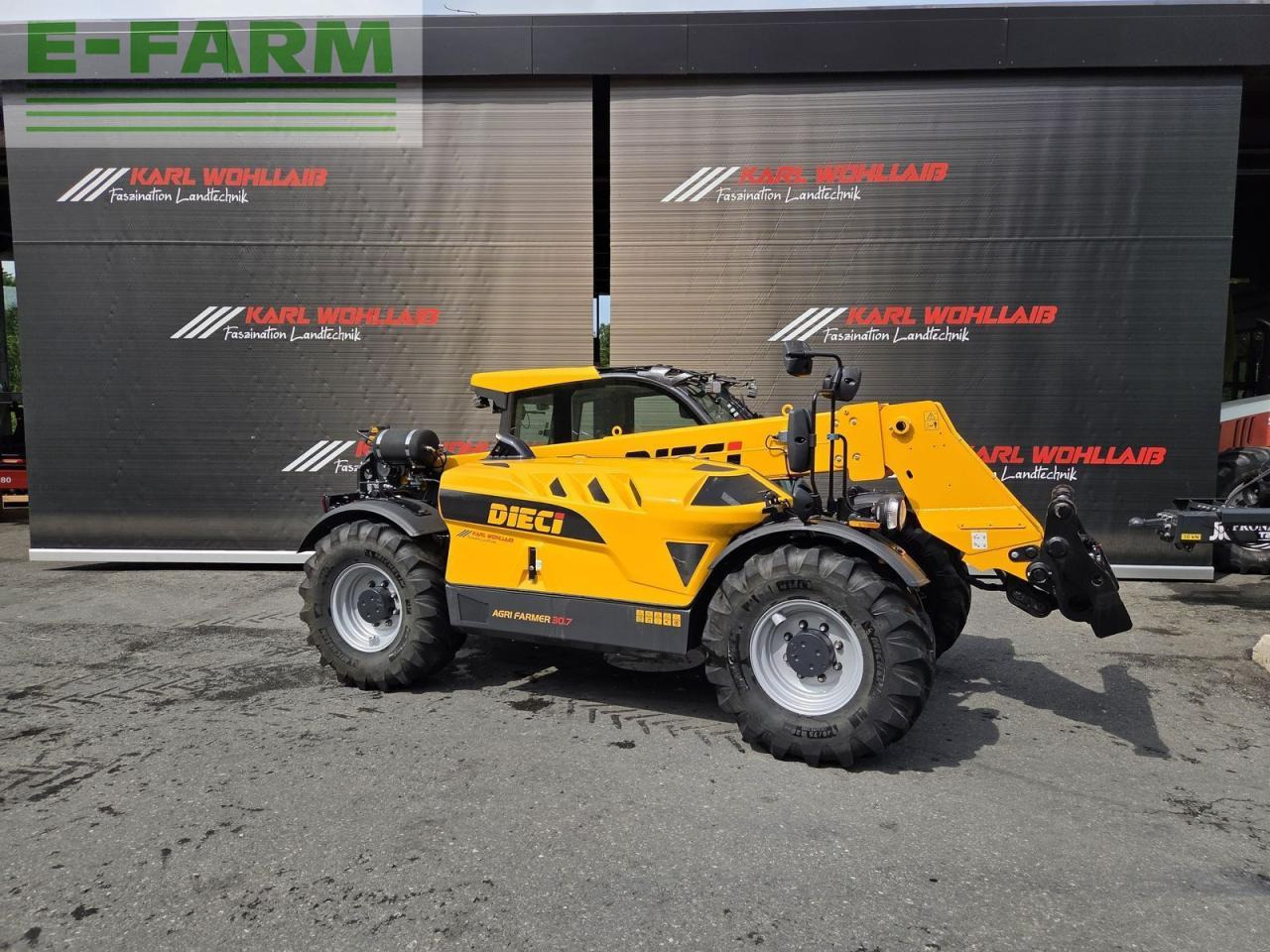 Sollevatore telescopico Dieci agri farmer 30.7: foto 8