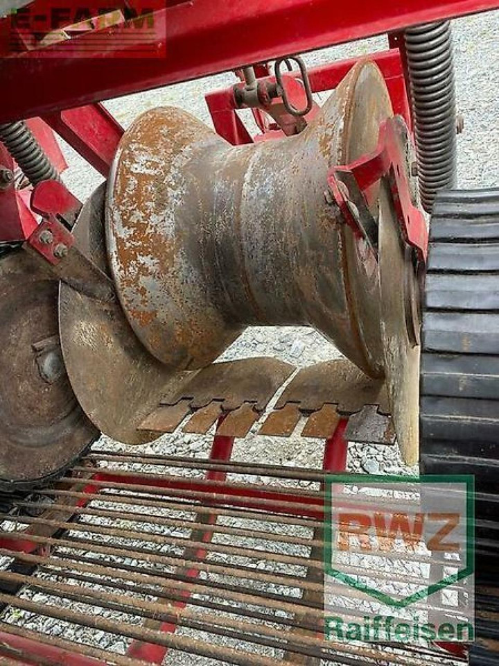 Scava raccogli patate Grimme kartoffelvollernter: foto 7