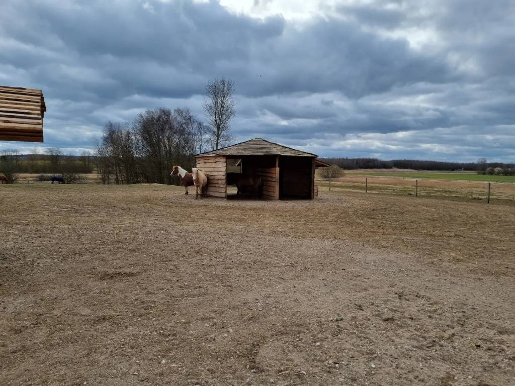 Pomi Hestepæreopsamler - Veicolo speciale/ Comunale: foto 5 Pomi Hestepæreopsamler - Veicolo speciale/ Comunale: foto 5