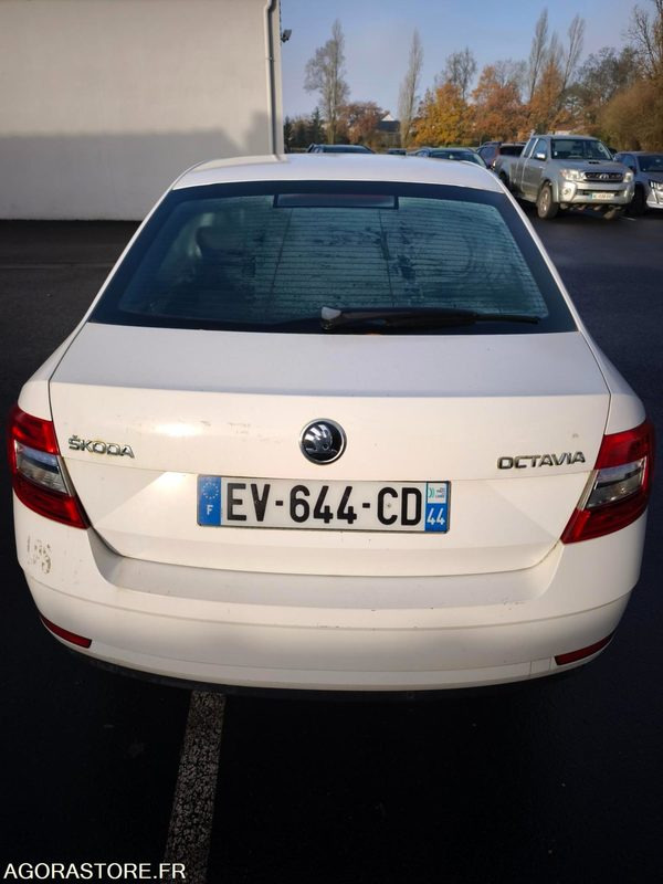 EV-644-CD - Non Roulant - SKODA OCTAVIA - VP - 339 260 Kms - Autovettura: foto 4 EV-644-CD - Non Roulant - SKODA OCTAVIA - VP - 339 260 Kms - Autovettura: foto 4
