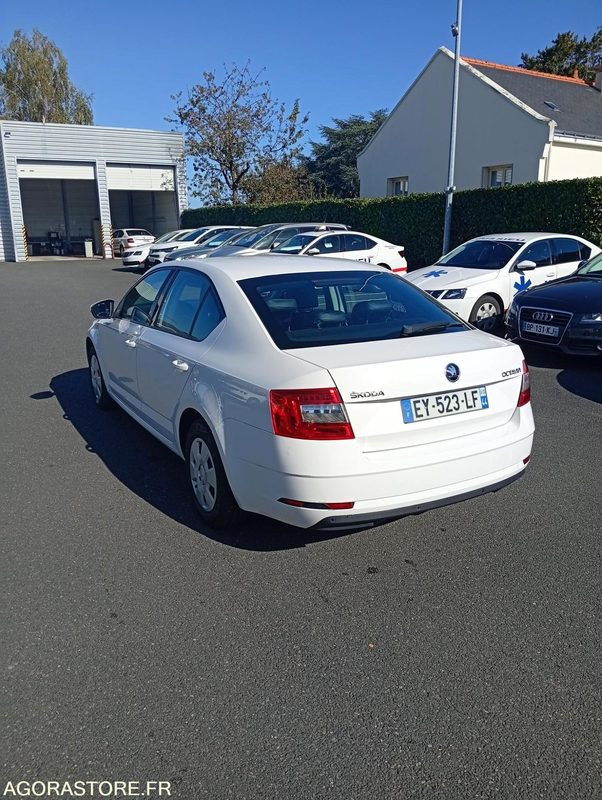 EY-523-LF - Roulant - SKODA OCTAVIA - VP - 384 000 Kms - Autovettura: foto 4 EY-523-LF - Roulant - SKODA OCTAVIA - VP - 384 000 Kms - Autovettura: foto 4