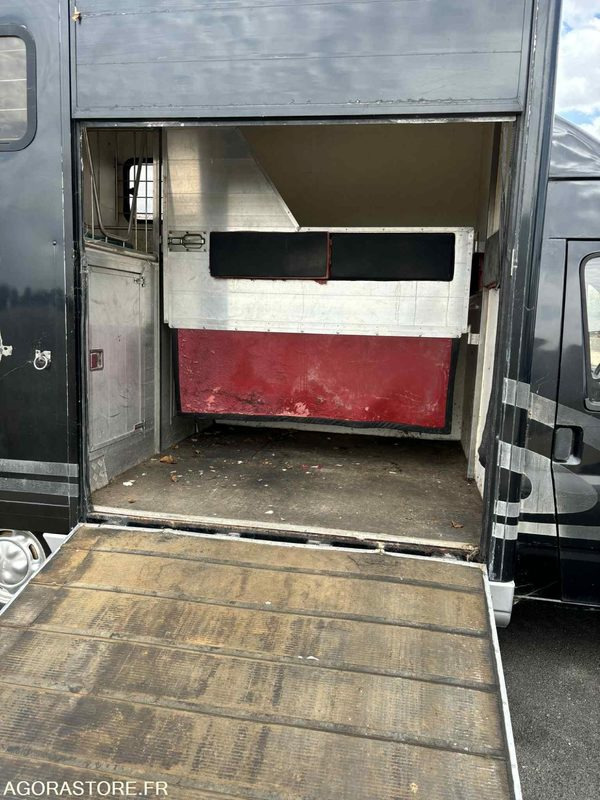 Fourgon FORD - Transport de 2 Chevaux - 2004 - 137 510 KM - Furgone chiuso: foto 3 Fourgon FORD - Transport de 2 Chevaux - 2004 - 137 510 KM - Furgone chiuso: foto 3