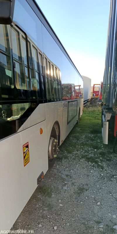 IVECO BUS CROSSWAY LOW ENTRY N°113217 - Minibus, Pulmino: foto 2 IVECO BUS CROSSWAY LOW ENTRY N°113217 - Minibus, Pulmino: foto 2