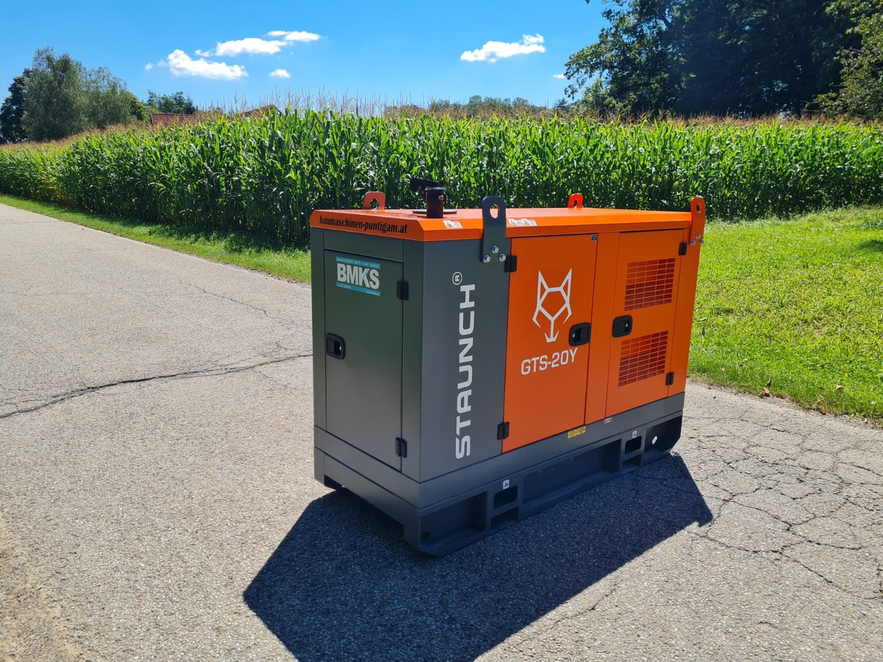 Staunch GTS-20Y - Gruppo elettrogeno: foto 3 Staunch GTS-20Y - Gruppo elettrogeno: foto 3