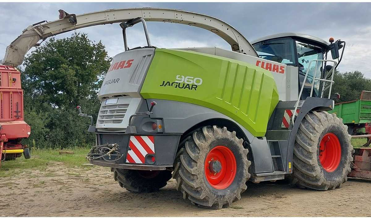 CLAAS - 2011 - 960 - HARVESTER-CHOPPER - Trincia: foto 3 CLAAS - 2011 - 960 - HARVESTER-CHOPPER - Trincia: foto 3