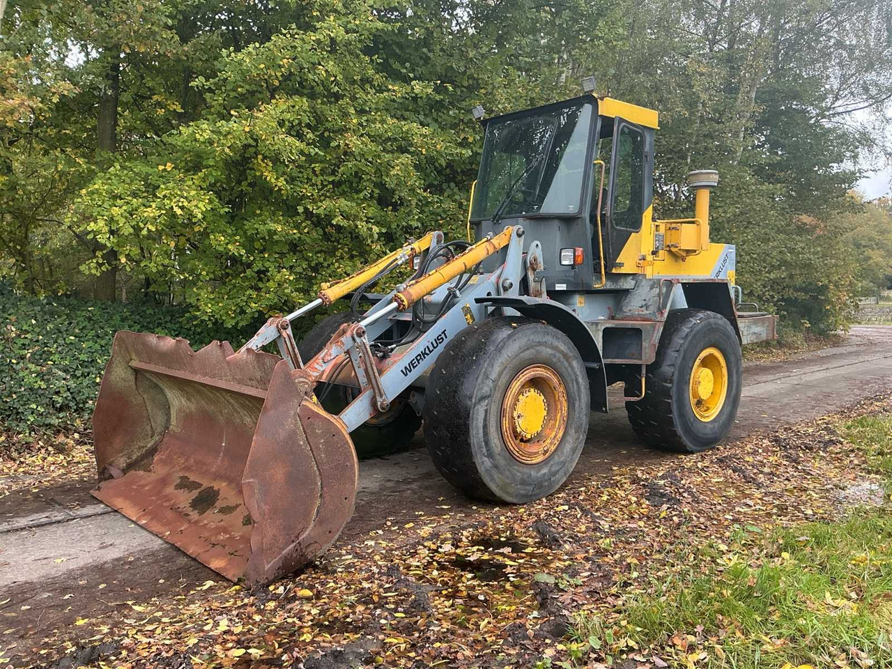 Werklust WG18C - Pala gommata: foto 1 Werklust WG18C - Pala gommata: foto 1