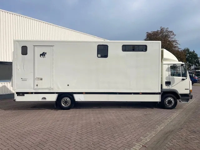 DAF LF 45.130 CLEAN HORSES NL-TRUCK - Van trasporto cavalli: foto 5 DAF LF 45.130 CLEAN HORSES NL-TRUCK - Van trasporto cavalli: foto 5