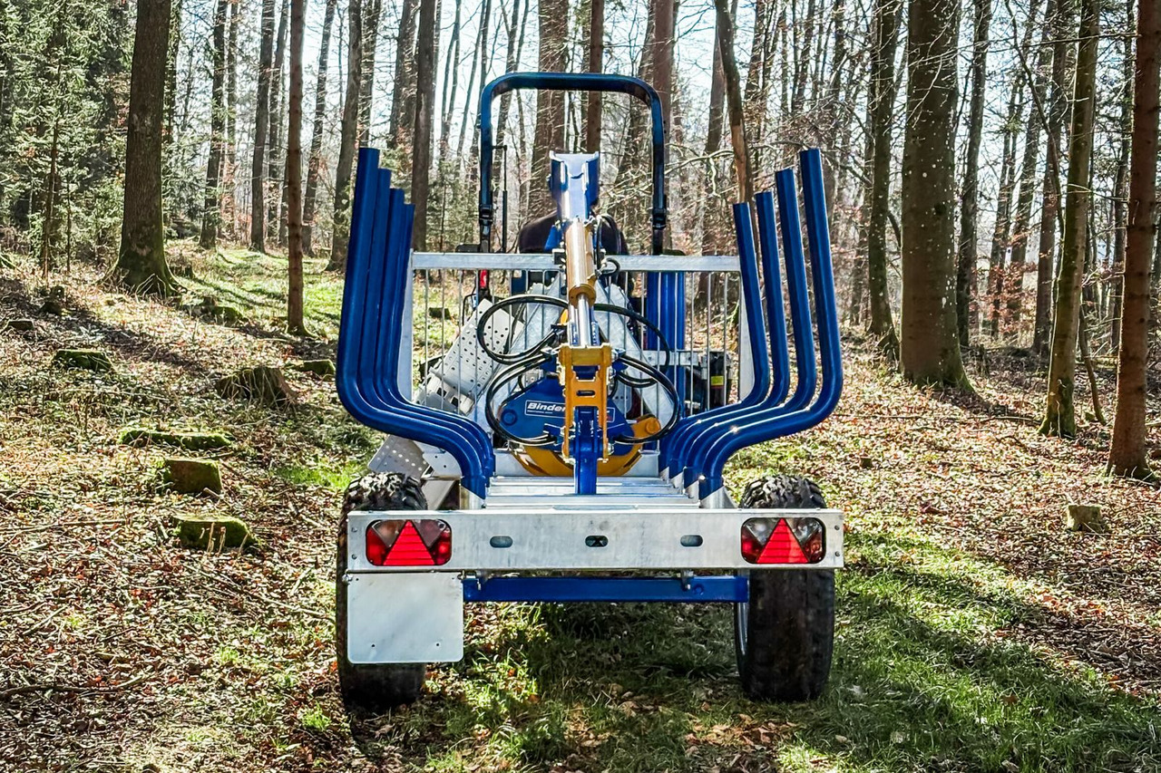 Binderberger Alpin 3t Holzrückewagen - Rimorchio forestale: foto 2 Binderberger Alpin 3t Holzrückewagen - Rimorchio forestale: foto 2