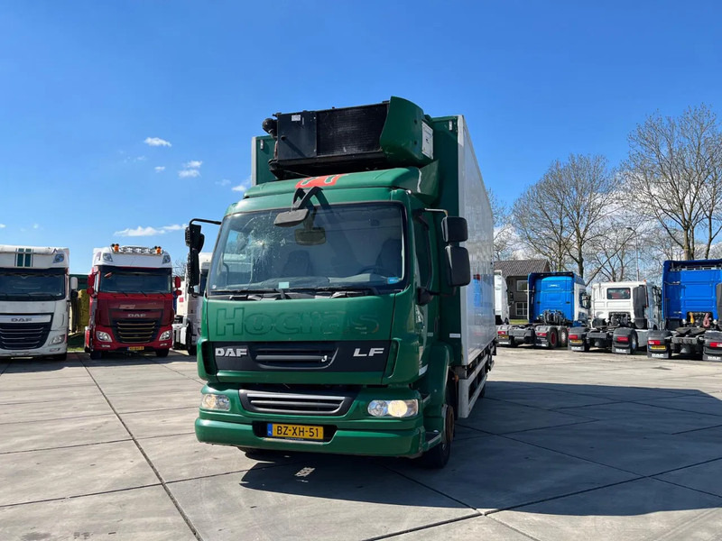 Autocarro frigorifero DAF LF 55 FA: foto 13