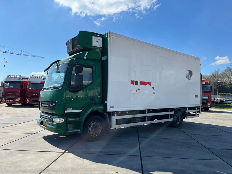 Autocarro frigorifero DAF LF 55 FA: foto 12