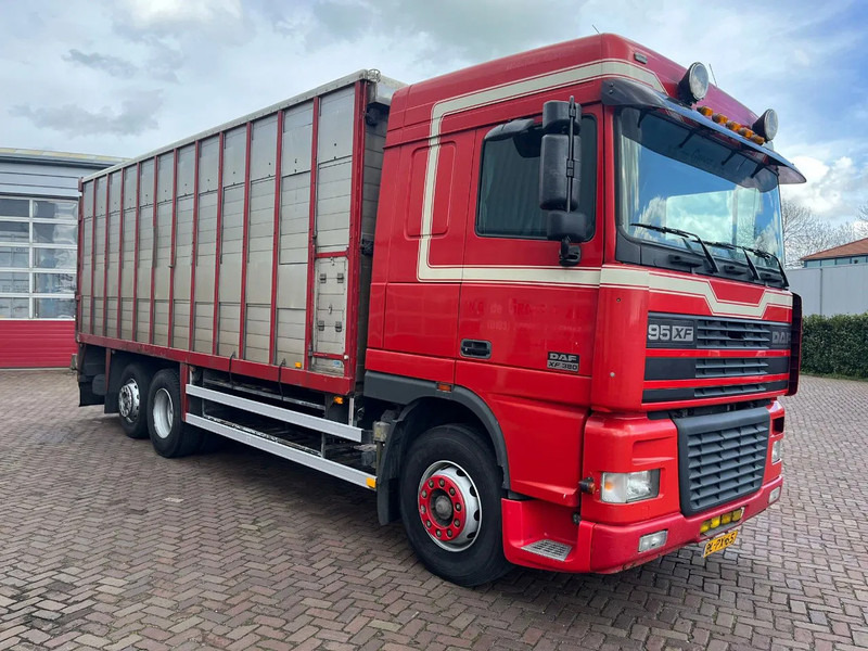 DAF XF FAR 95XF.380 EURO 2 - Autocarro trasporto bestiame: foto 1 DAF XF FAR 95XF.380 EURO 2 - Autocarro trasporto bestiame: foto 1