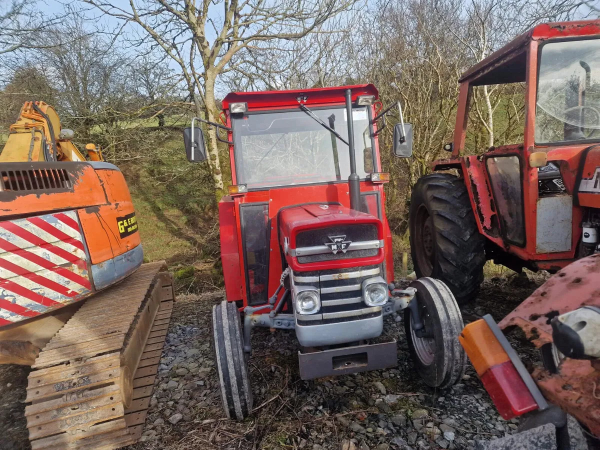 Massey Ferguson 135 - Trattore: foto 2 Massey Ferguson 135 - Trattore: foto 2