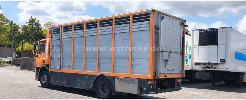 DAF CF 400 - Animal transporter - Autocarro trasporto bestiame: foto 5 DAF CF 400 - Animal transporter - Autocarro trasporto bestiame: foto 5