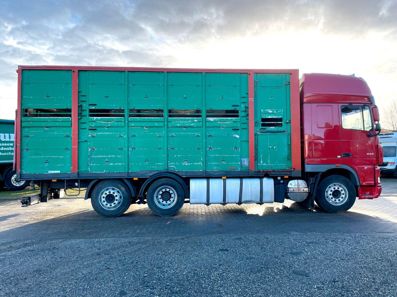 DAF XF 105.460 2-Stock Finkl Viehaufbau / Lenkachs - Autocarro trasporto bestiame: foto 4 DAF XF 105.460 2-Stock Finkl Viehaufbau / Lenkachs - Autocarro trasporto bestiame: foto 4