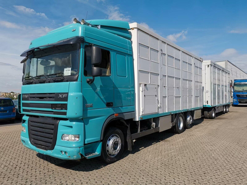 DAF XF 105.460 - Animal transporter + trailer - Autocarro trasporto bestiame: foto 1 DAF XF 105.460 - Animal transporter + trailer - Autocarro trasporto bestiame: foto 1