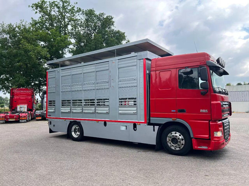 DAF XF 106.460 - Finkl Animal transporter - Autocarro trasporto bestiame: foto 2 DAF XF 106.460 - Finkl Animal transporter - Autocarro trasporto bestiame: foto 2