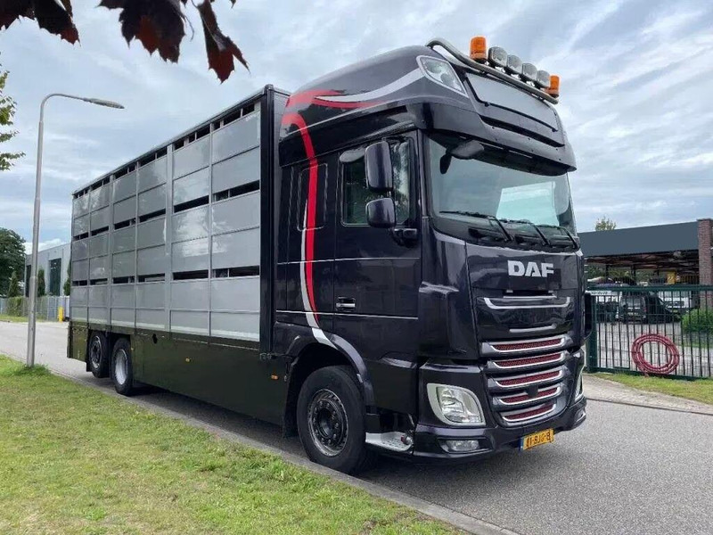 DAF XF 460 - Animal transporter - Autocarro trasporto bestiame: foto 2 DAF XF 460 - Animal transporter - Autocarro trasporto bestiame: foto 2