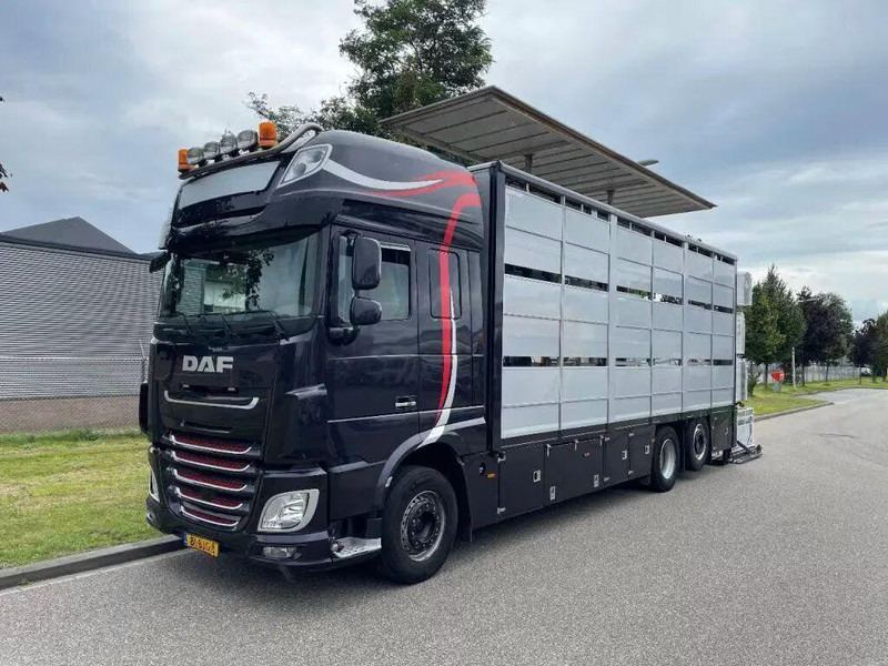 DAF XF 460 - Animal transporter - Autocarro trasporto bestiame: foto 3 DAF XF 460 - Animal transporter - Autocarro trasporto bestiame: foto 3