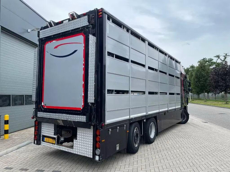 DAF XF 460 - Animal transporter - Autocarro trasporto bestiame: foto 5 DAF XF 460 - Animal transporter - Autocarro trasporto bestiame: foto 5