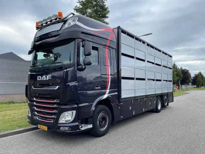 DAF XF 460 - Animal transporter - Autocarro trasporto bestiame: foto 1 DAF XF 460 - Animal transporter - Autocarro trasporto bestiame: foto 1