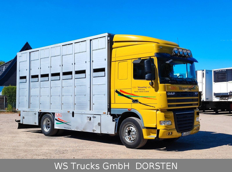 DAF XF410 Menke Doppelstock - Autocarro trasporto bestiame: foto 4 DAF XF410 Menke Doppelstock - Autocarro trasporto bestiame: foto 4